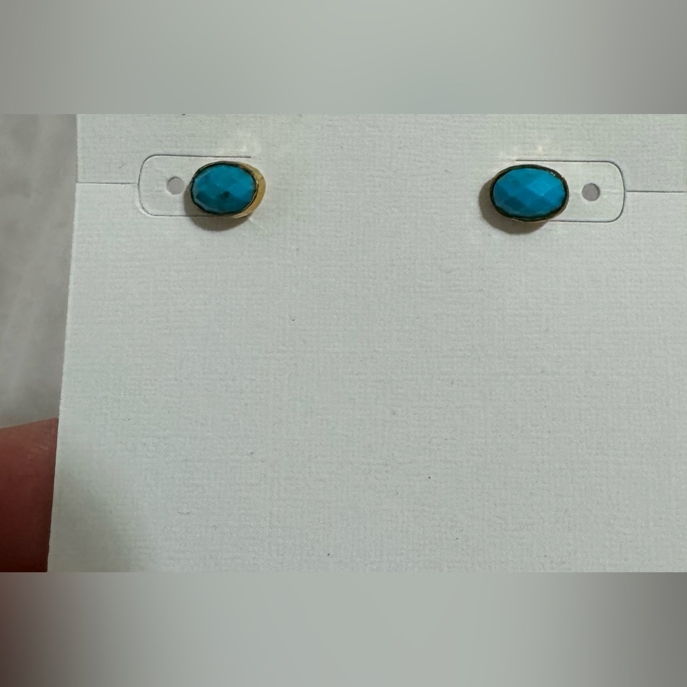 Stella and dot maya turquoise earrings and necklace